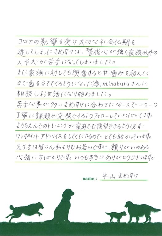 まめすけくん(ヨークシャー・テリア)の飼い主様の声