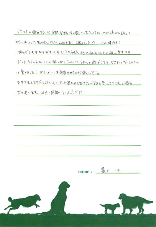 こまくん(コーギー)の飼い主様の声