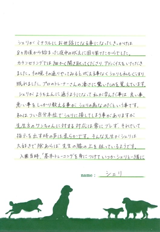 シェリくん(シーズー)の飼い主様の声