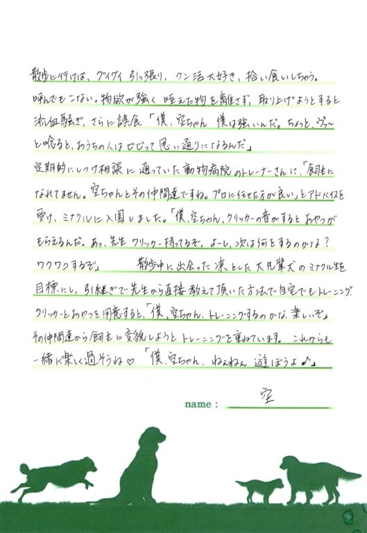 空くん(マルチーズ×ヨークシャーテリアのMIX犬)の飼い主様の声