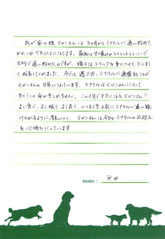 マロンちゃん(チワワ)の飼い主様の声