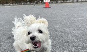 暑くなる前に！！