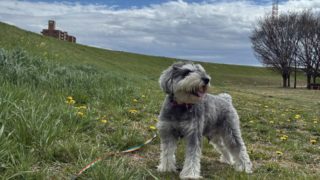 土手へレッツゴー！