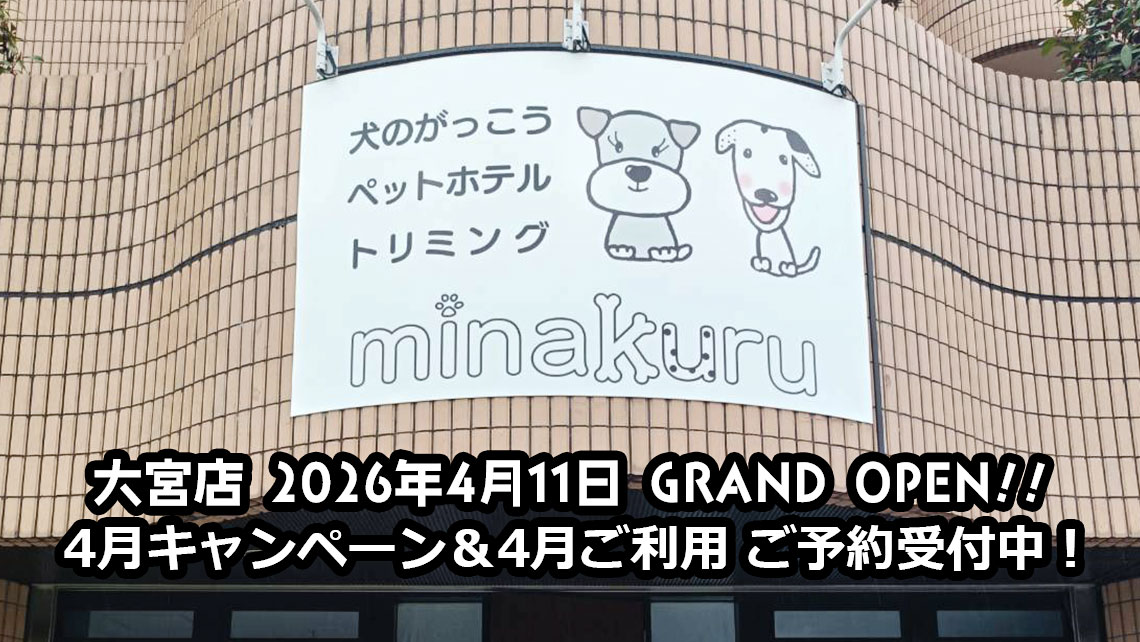 犬の学校minakuru大宮店4/11GRAND OPEN