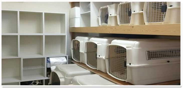 ミナクル武蔵浦和店ペットホテル室内