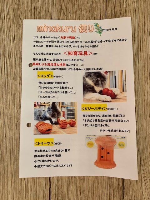 7月到来 さいたま市 犬のしつけ 犬のようちえん ペットホテル Minakuru