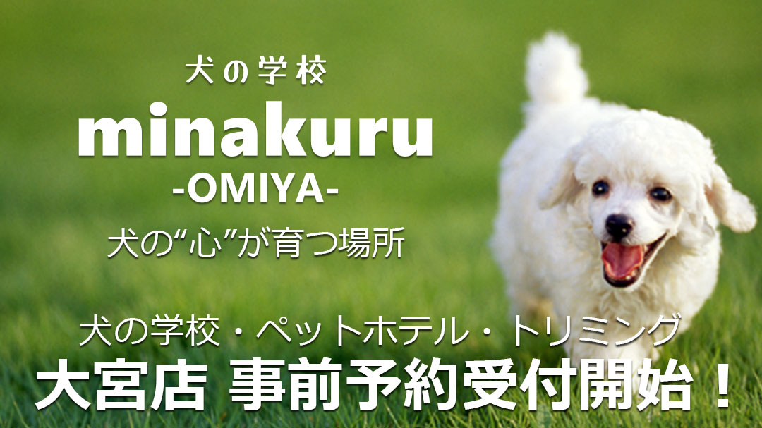 犬の学校minakuru大宮店 事前予約開始！