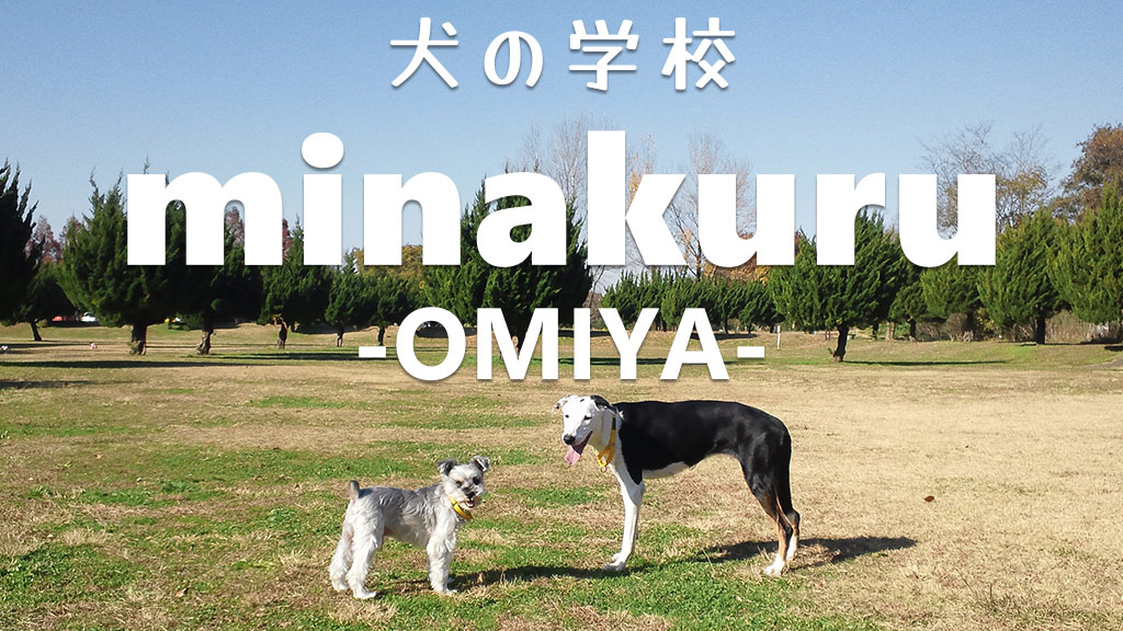 犬の学校minakuru大宮店ティザー予告