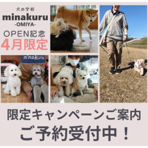 犬の学校minakuru大宮店 4月限定キャンペーン
