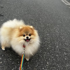 ティナーシャちゃん